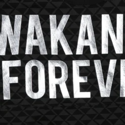 Disney Black Panther: Wakanda Forever Spirit Jersey For Adults 4 Disney Black Panther: Wakanda Forever Spirit Jersey For Adults -Clothing Shop 2140058381312 4