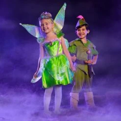 Disney Tinker Bell Costume For Kids – Peter Pan -Clothing Shop 2841040739139 4