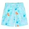 Disney Mickey And Minnie Mouse Summer Swim Trunks For Kids